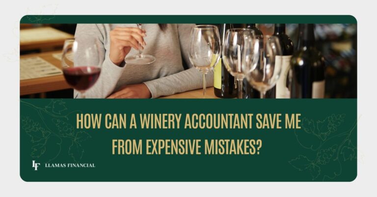 Winery Accountant Save Me from Expensive Mistakes