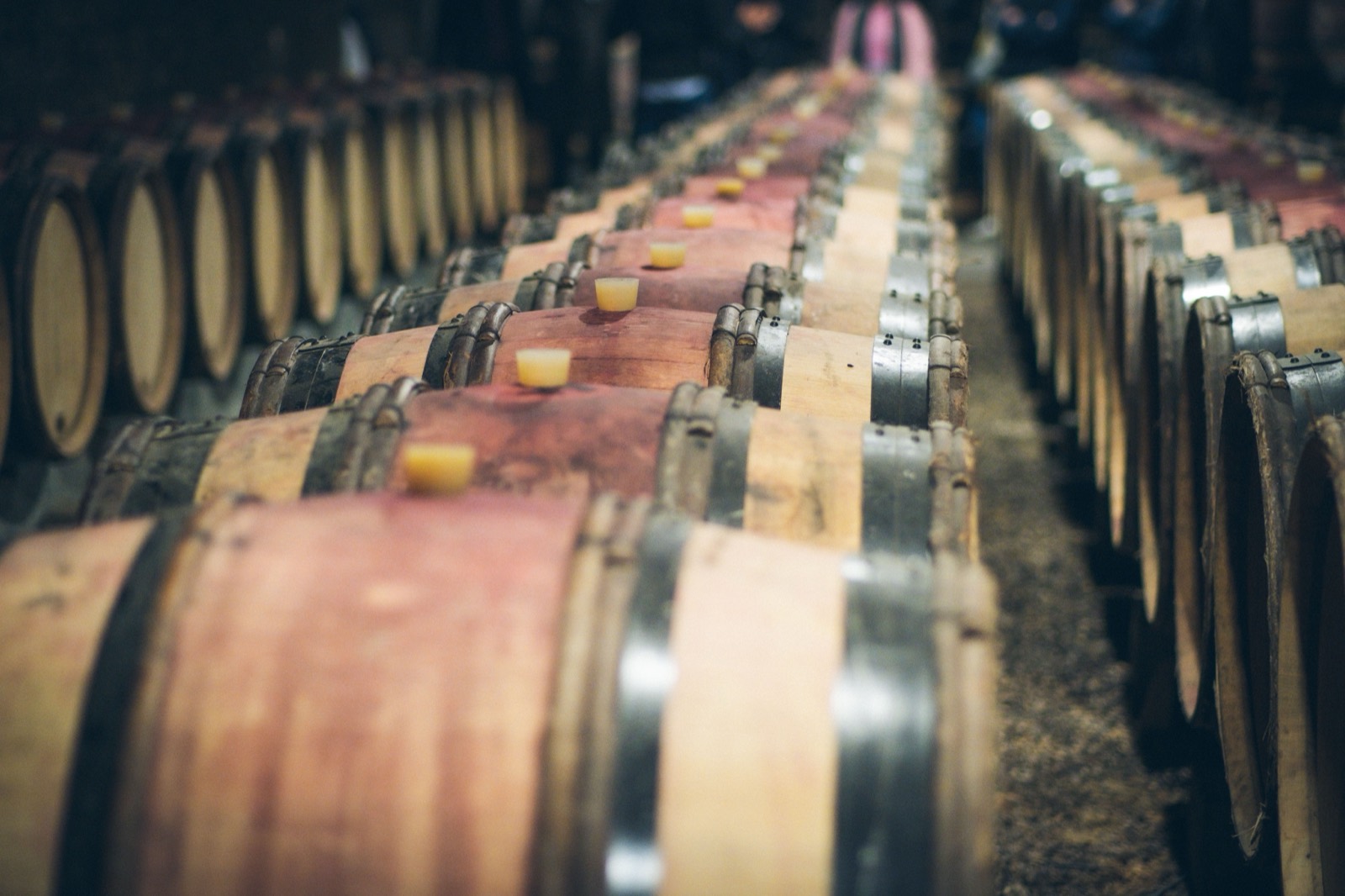 Rows of wine barrels in a barrel room, representing custom crush winery bookkeeping